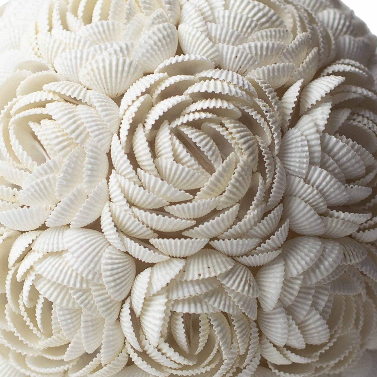 Artisans Handcrafted Boho Sea Shell Lamp - Kraas Store