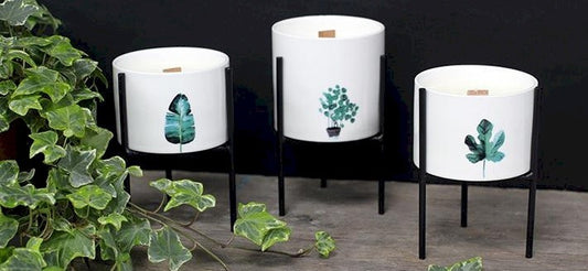Botanical Wooden Wick Soy Candles - Kraas Store