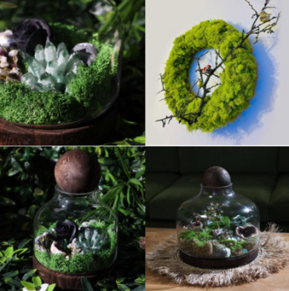 Collage of four images featuring premium preserved moss-covered terrariums and wreaths for wall art, frames, and DIY décor projects - Ancient Wisdom


