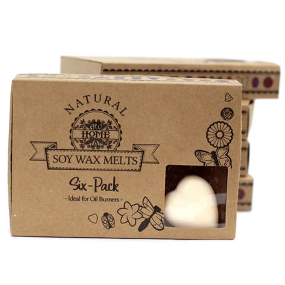 Box of six packed Natural Soy Wax Melts with a visible wax melt inside on a white background - Ancient Wisdom