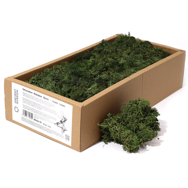 Box of 1st grade green reindeer decorative moss with a label showing natural soft preserved texture - Ancient Wisdom

 