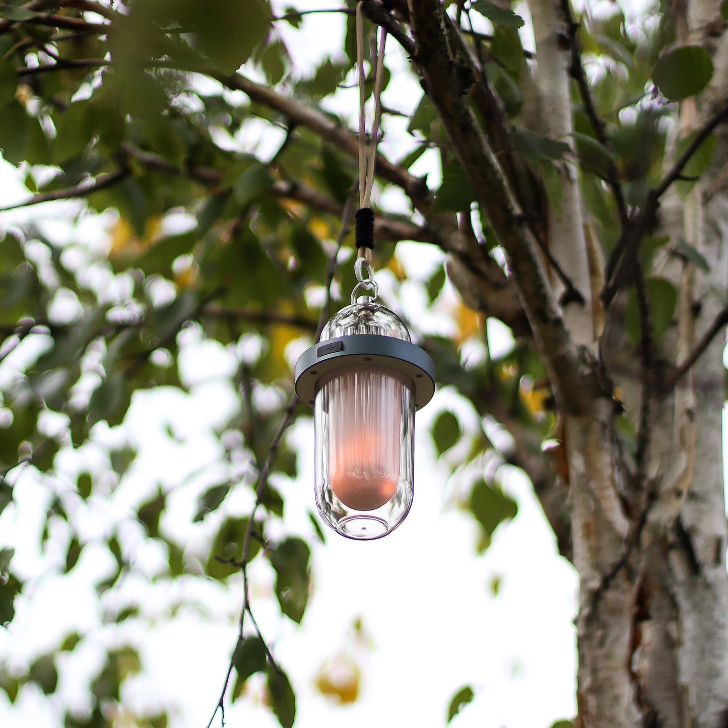 warm outdoor ambience lamp hanging from a tree branch with a blurred natural background - Kraas