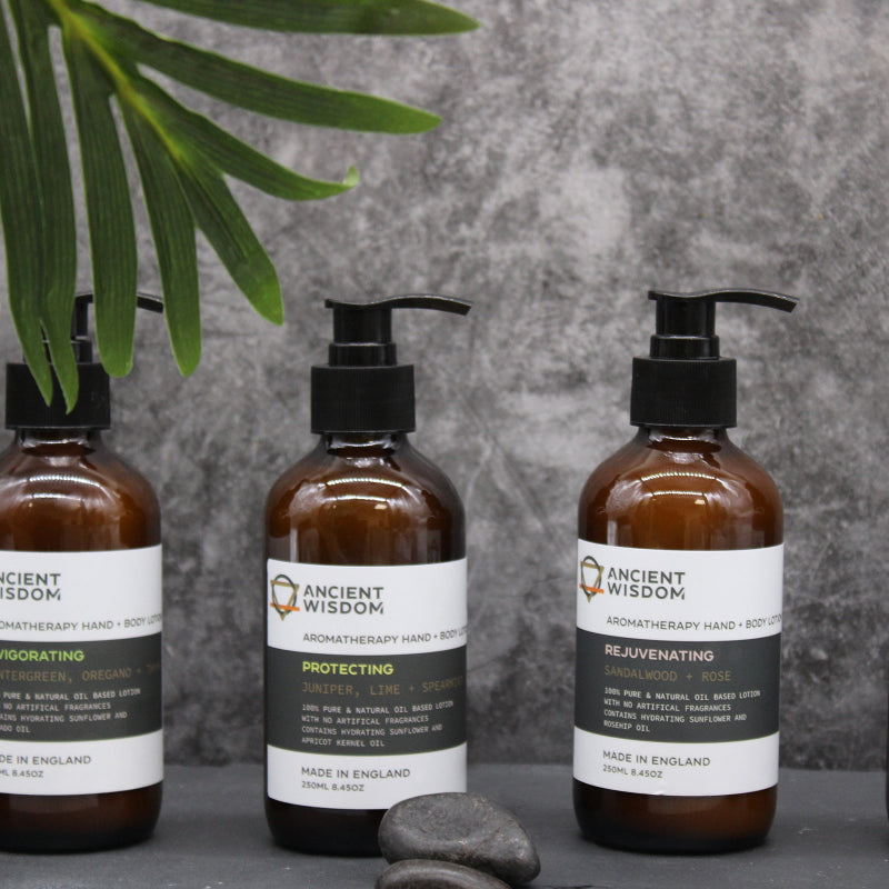 Three pump bottles of hand & body lotion with essential oils on a gray surface with a plant - Ancient Wisdom