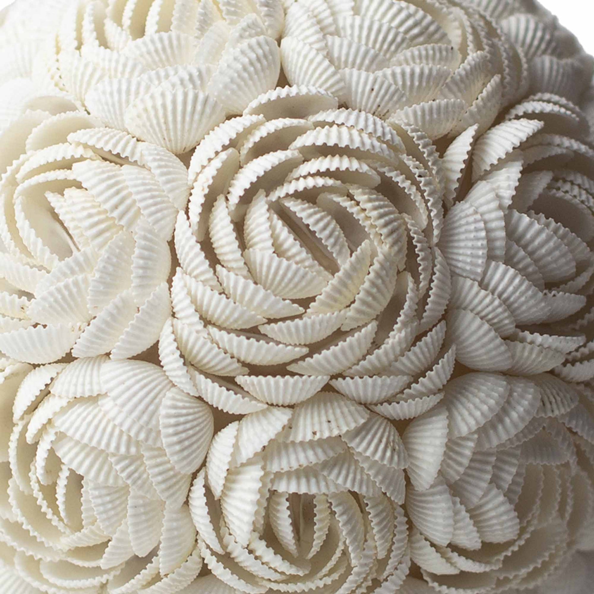 Artisans Handcrafted Boho Sea Shell Lamp - Kraas Store