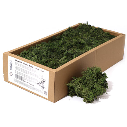 Eco-Friendly Decorative Reindeer Premium Moss - Kraas Store